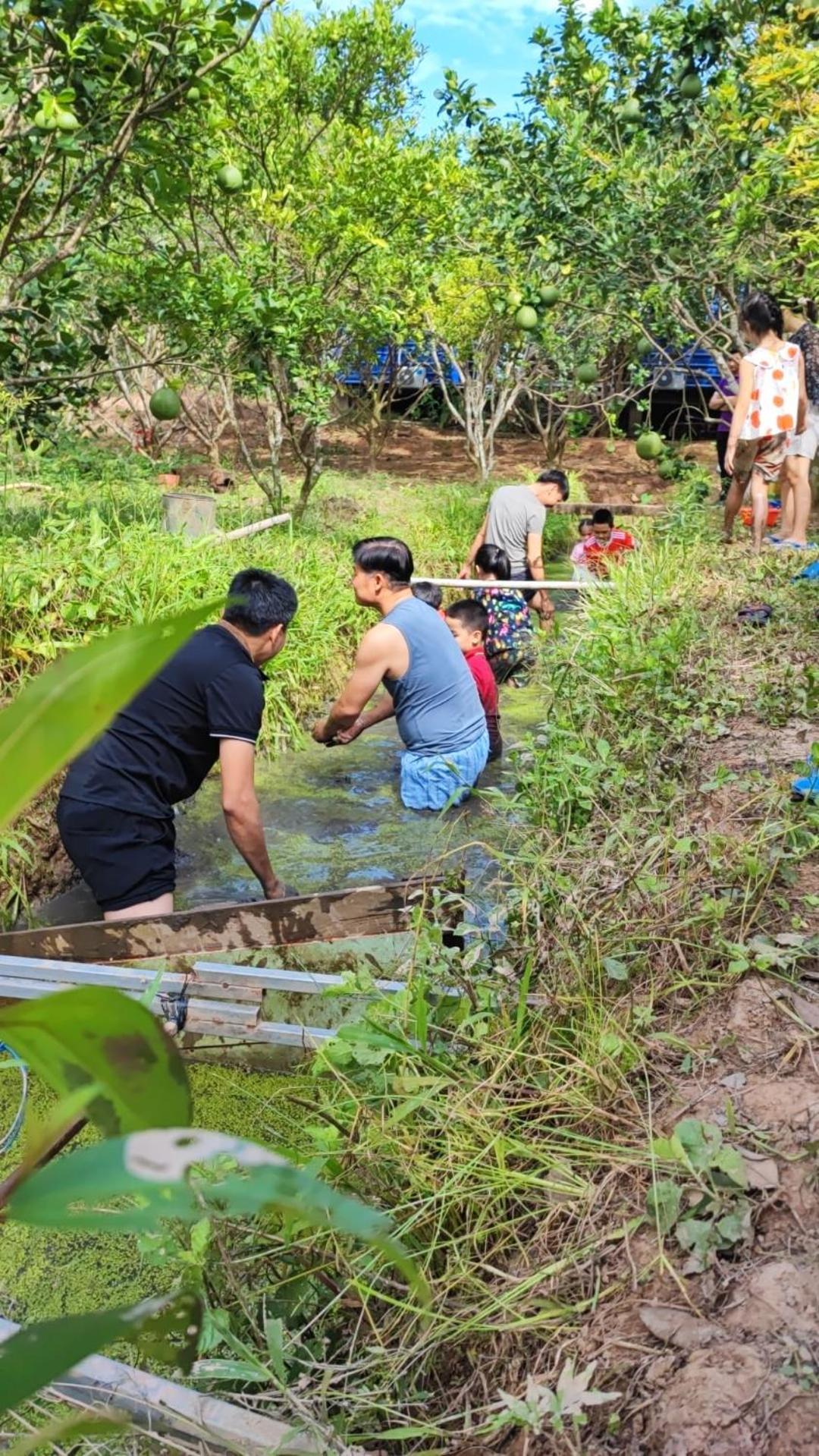 Ben Tre Con Phung Resort Mekong - Nature Escape With Free Boat Shuttle & Fishing מראה חיצוני תמונה